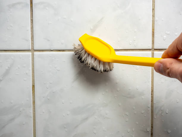 Best Fast Mold Removal  in Desert Edge, CA