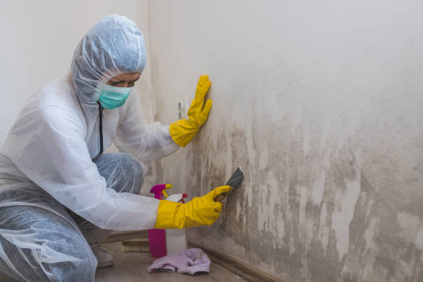 Best Mold Testing  in Desert Edge, CA