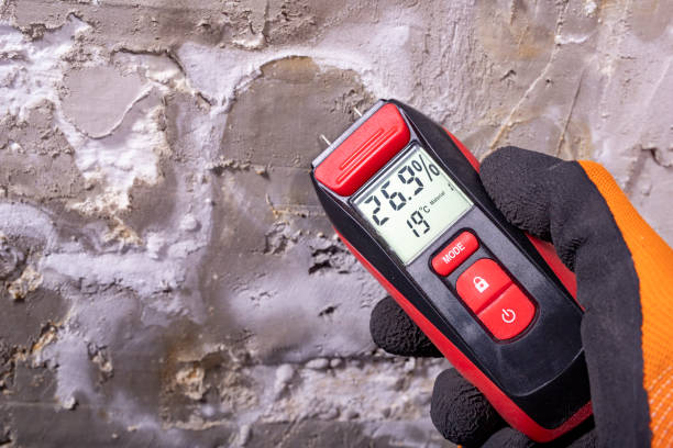 Best Professional Mold Removal  in Desert Edge, CA