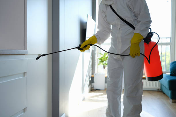 Best Certified Mold Removal  in Desert Edge, CA